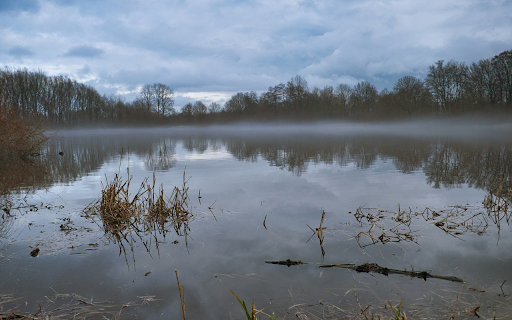 The lake surface is a bit foggy from Chrome web store to be run with OffiDocs Chromium online The lake surface is a bit foggy from Chrome web store to be run with OffiDocs Chromium online