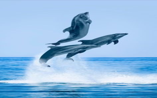 Three whales wallpaper from Chrome web store to be run with OffiDocs Chromium online Three whales wallpaper from Chrome web store to be run with OffiDocs Chromium online