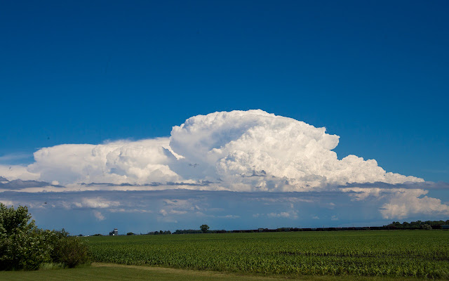 Thunderhead from Chrome web store to be run with OffiDocs Chromium online Thunderhead from Chrome web store to be run with OffiDocs Chromium online