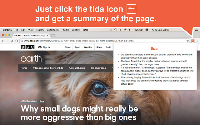 tlda from Chrome web store to be run with OffiDocs Chromium online tlda from Chrome web store to be run with OffiDocs Chromium online