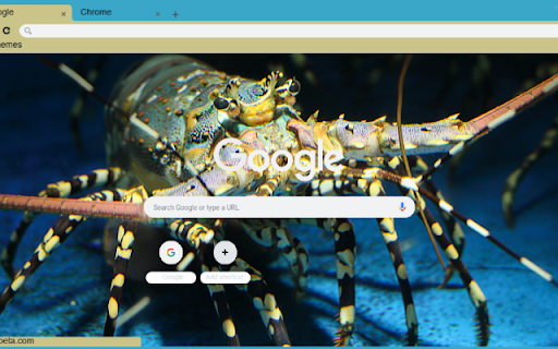 Tom hum from Chrome web store to be run with OffiDocs Chromium online Tom hum from Chrome web store to be run with OffiDocs Chromium online