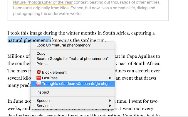 Tra câu from Chrome web store to be run with OffiDocs Chromium online Tra câu from Chrome web store to be run with OffiDocs Chromium online