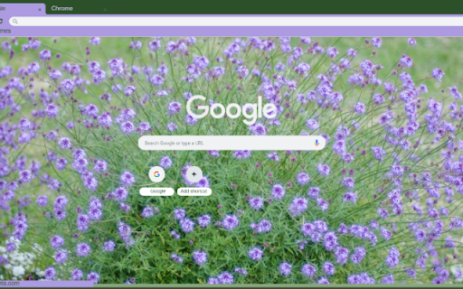 Verbena from Chrome web store to be run with OffiDocs Chromium online Verbena from Chrome web store to be run with OffiDocs Chromium online