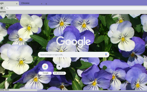 Viola from Chrome web store to be run with OffiDocs Chromium online Viola from Chrome web store to be run with OffiDocs Chromium online