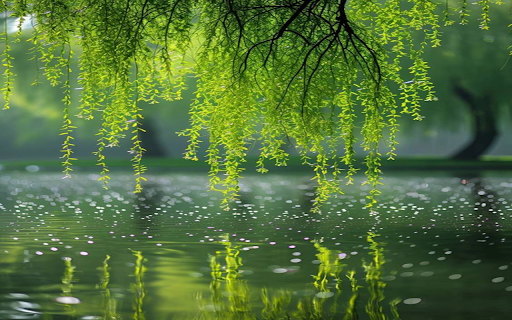 Willow branches Wallpaper from Chrome web store to be run with OffiDocs Chromium online Willow branches Wallpaper from Chrome web store to be run with OffiDocs Chromium online