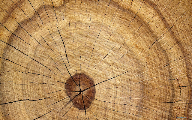 Wood Background from Chrome web store to be run with OffiDocs Chromium online Wood Background from Chrome web store to be run with OffiDocs Chromium online