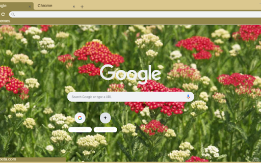 Yarrow Red from Chrome web store to be run with OffiDocs Chromium online Yarrow Red from Chrome web store to be run with OffiDocs Chromium online