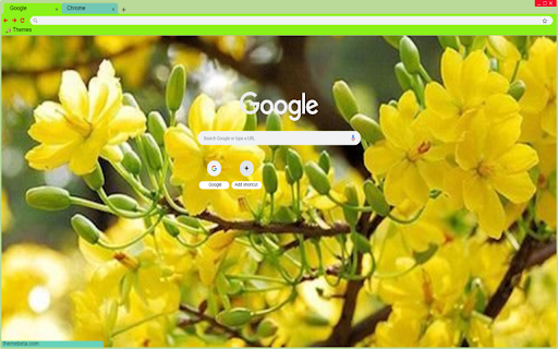yellow apricot flowers from Chrome web store to be run with OffiDocs Chromium online yellow apricot flowers from Chrome web store to be run with OffiDocs Chromium online