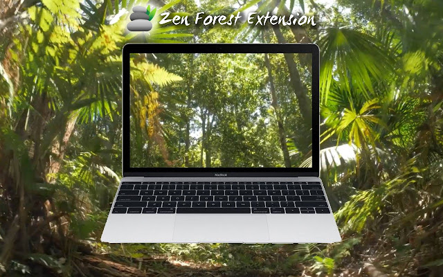 Zen Forest New Tab from Chrome web store to be run with OffiDocs Chromium online Zen Forest New Tab from Chrome web store to be run with OffiDocs Chromium online