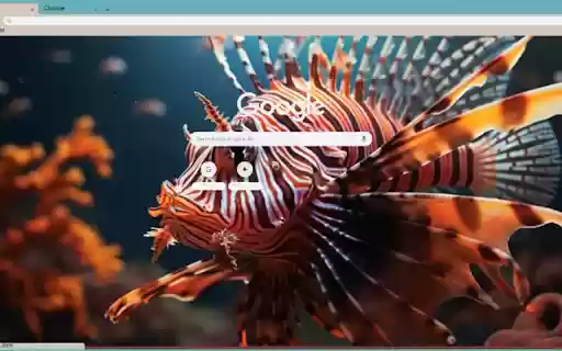 A lionfish swims in the clear water from Chrome web store to be run with OffiDocs Chromium online A lionfish swims in the clear water from Chrome web store to be run with OffiDocs Chromium online