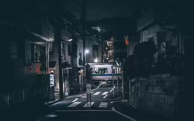 AnimeTokyo One Night in Tokyo from Chrome web store to be run with OffiDocs Chromium online AnimeTokyo One Night in Tokyo from Chrome web store to be run with OffiDocs Chromium online
