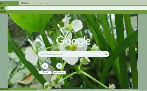 Arrowhead from Chrome web store to be run with OffiDocs Chromium online Arrowhead from Chrome web store to be run with OffiDocs Chromium online