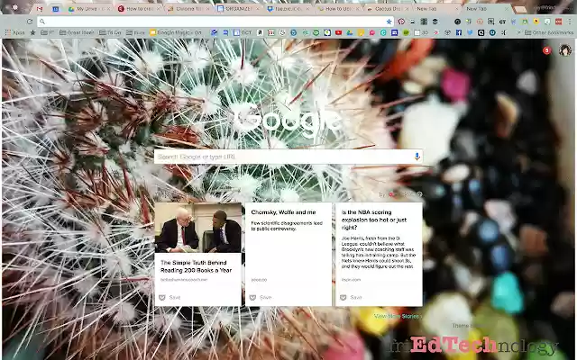 Cactus Dream from Chrome web store to be run with OffiDocs Chromium online Cactus Dream from Chrome web store to be run with OffiDocs Chromium online