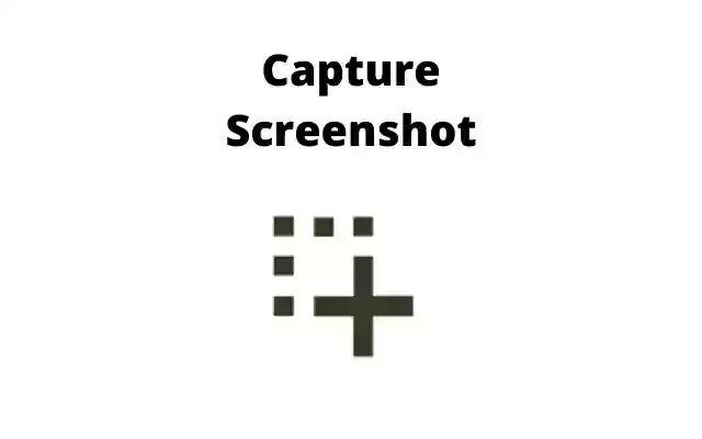 Capture Screenshots from Chrome web store to be run with OffiDocs Chromium online Capture Screenshots from Chrome web store to be run with OffiDocs Chromium online