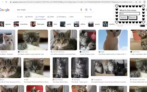Cats Instead from Chrome web store to be run with OffiDocs Chromium online Cats Instead from Chrome web store to be run with OffiDocs Chromium online