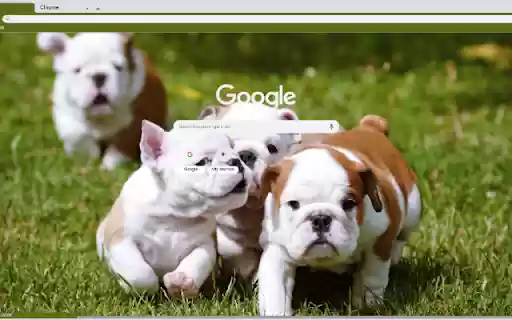 Cho from Chrome web store to be run with OffiDocs Chromium online Cho from Chrome web store to be run with OffiDocs Chromium online