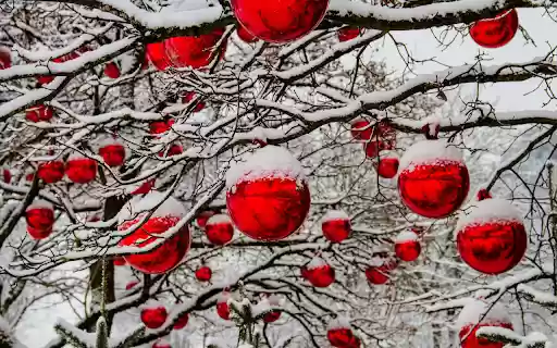 Christmas everywhere is red from Chrome web store to be run with OffiDocs Chromium online Christmas everywhere is red from Chrome web store to be run with OffiDocs Chromium online