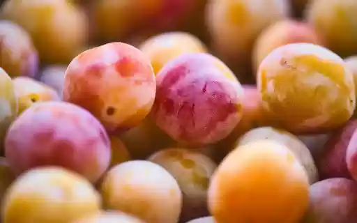 Colorful Mirabelle Plums from Chrome web store to be run with OffiDocs Chromium online Colorful Mirabelle Plums from Chrome web store to be run with OffiDocs Chromium online