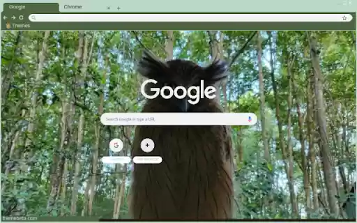 Cu xanh from Chrome web store to be run with OffiDocs Chromium online Cu xanh from Chrome web store to be run with OffiDocs Chromium online