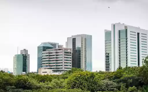 Developed City from Chrome web store to be run with OffiDocs Chromium online Developed City from Chrome web store to be run with OffiDocs Chromium online