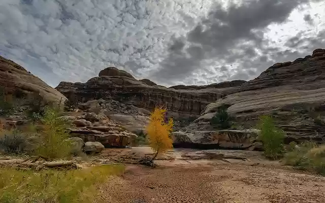 Fall colors in Grand Gulch, UT from Chrome web store to be run with OffiDocs Chromium online Fall colors in Grand Gulch, UT from Chrome web store to be run with OffiDocs Chromium online
