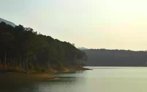 Forest by the lake from Chrome web store to be run with OffiDocs Chromium online Forest by the lake from Chrome web store to be run with OffiDocs Chromium online
