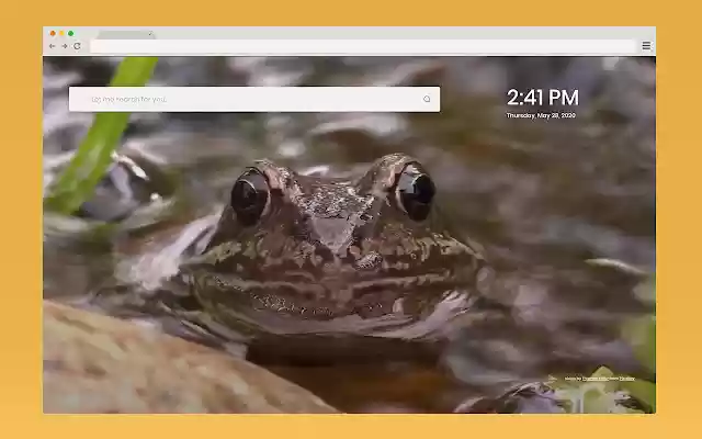 Frog Start Because cats are lame from Chrome web store to be run with OffiDocs Chromium online Frog Start Because cats are lame from Chrome web store to be run with OffiDocs Chromium online