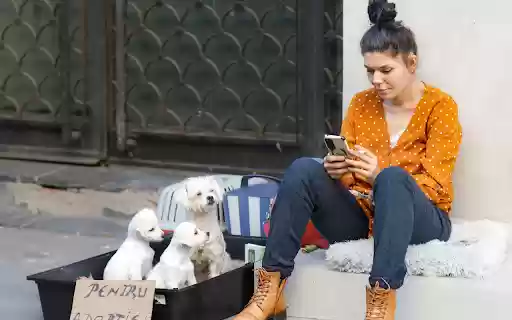 Girl with high bun hair and dogs from Chrome web store to be run with OffiDocs Chromium online Girl with high bun hair and dogs from Chrome web store to be run with OffiDocs Chromium online