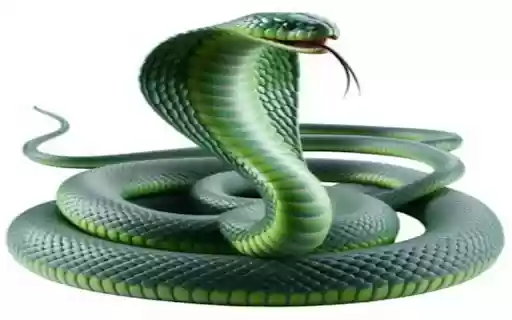 green cobra wallpaper from Chrome web store to be run with OffiDocs Chromium online green cobra wallpaper from Chrome web store to be run with OffiDocs Chromium online