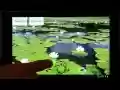 Happy Frog from Chrome web store to be run with OffiDocs Chromium online Happy Frog from Chrome web store to be run with OffiDocs Chromium online