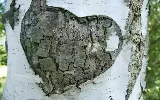 Heart shaped floating tree from Chrome web store to be run with OffiDocs Chromium online Heart shaped floating tree from Chrome web store to be run with OffiDocs Chromium online