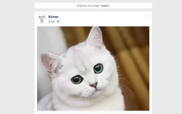 HideIt from Chrome web store to be run with OffiDocs Chromium online HideIt from Chrome web store to be run with OffiDocs Chromium online
