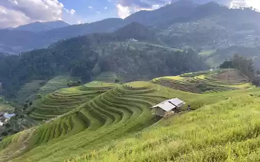 House and terraced fields from Chrome web store to be run with OffiDocs Chromium online House and terraced fields from Chrome web store to be run with OffiDocs Chromium online