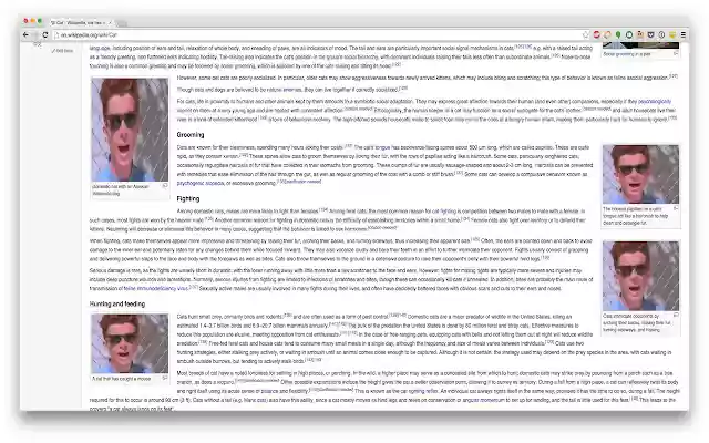 Kitten Blocker from Chrome web store to be run with OffiDocs Chromium online Kitten Blocker from Chrome web store to be run with OffiDocs Chromium online
