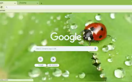 Macro Ladybug on Leaf from Chrome web store to be run with OffiDocs Chromium online Macro Ladybug on Leaf from Chrome web store to be run with OffiDocs Chromium online