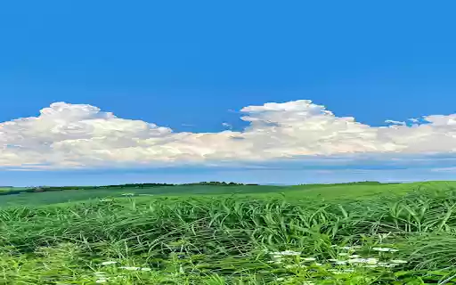 Natural landscape wallpaper from Chrome web store to be run with OffiDocs Chromium online Natural landscape wallpaper from Chrome web store to be run with OffiDocs Chromium online