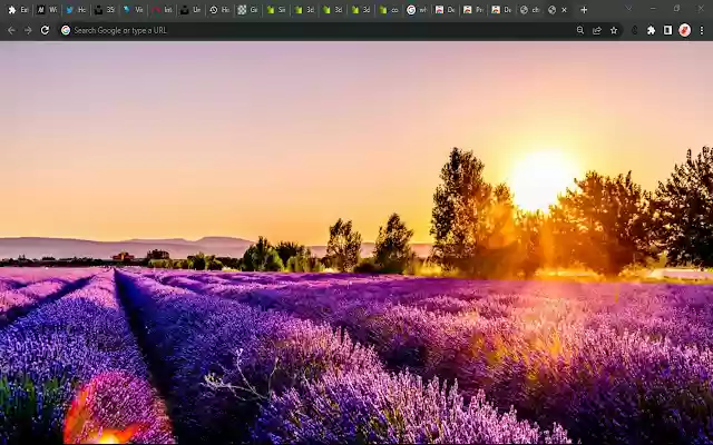 Nature Images from Chrome web store to be run with OffiDocs Chromium online Nature Images from Chrome web store to be run with OffiDocs Chromium online
