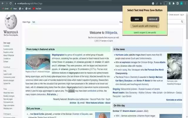 ownDictionary from Chrome web store to be run with OffiDocs Chromium online ownDictionary from Chrome web store to be run with OffiDocs Chromium online