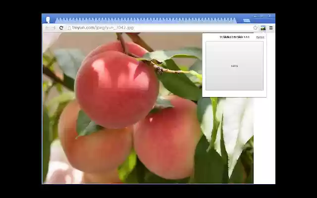 PYR Image Saver from Chrome web store to be run with OffiDocs Chromium online PYR Image Saver from Chrome web store to be run with OffiDocs Chromium online