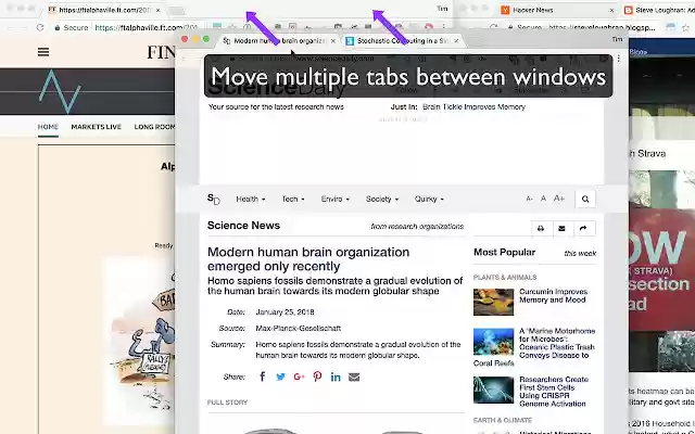 QuickShift Redux Rearrange Chrome Tabs from Chrome web store to be run with OffiDocs Chromium online QuickShift Redux Rearrange Chrome Tabs from Chrome web store to be run with OffiDocs Chromium online
