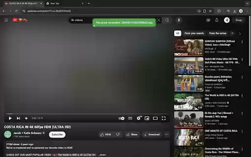SnapStudy from Chrome web store to be run with OffiDocs Chromium online SnapStudy from Chrome web store to be run with OffiDocs Chromium online