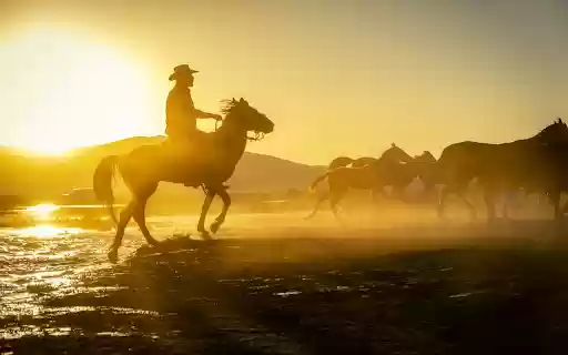 Sunset Riders from Chrome web store to be run with OffiDocs Chromium online Sunset Riders from Chrome web store to be run with OffiDocs Chromium online
