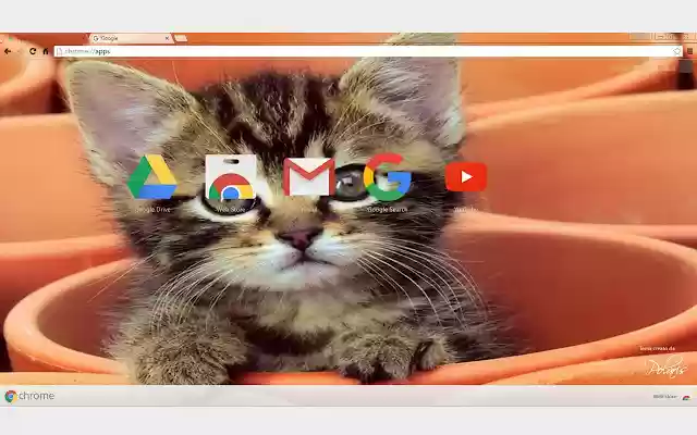 Sweet Kitty from Chrome web store to be run with OffiDocs Chromium online Sweet Kitty from Chrome web store to be run with OffiDocs Chromium online