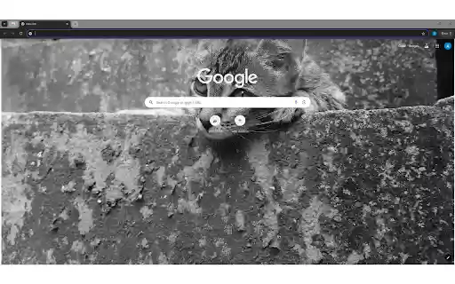 Tabby Kitten Lying on Concrete Stairs from Chrome web store to be run with OffiDocs Chromium online Tabby Kitten Lying on Concrete Stairs from Chrome web store to be run with OffiDocs Chromium online