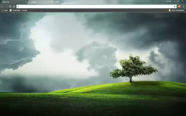 That Tree from Chrome web store to be run with OffiDocs Chromium online That Tree from Chrome web store to be run with OffiDocs Chromium online