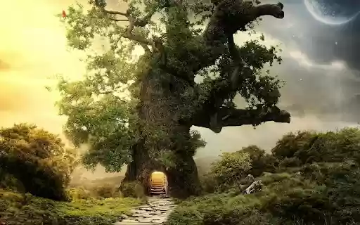 The Ancient Tree’s Mystical Path from Chrome web store to be run with OffiDocs Chromium online The Ancient Tree’s Mystical Path from Chrome web store to be run with OffiDocs Chromium online