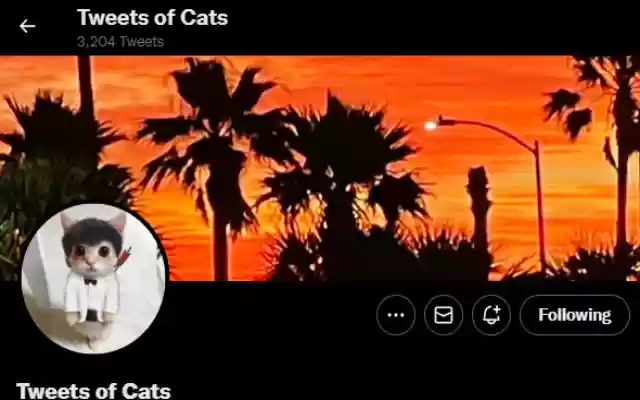 Tweet Verification Radar from Chrome web store to be run with OffiDocs Chromium online Tweet Verification Radar from Chrome web store to be run with OffiDocs Chromium online