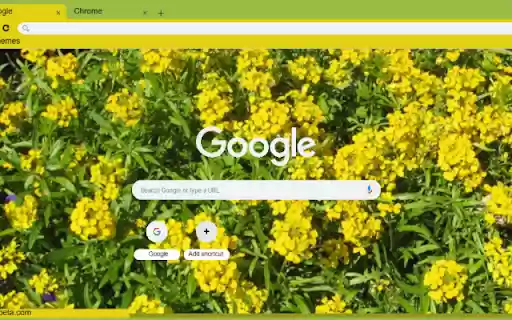 Wallflower Yellow from Chrome web store to be run with OffiDocs Chromium online Wallflower Yellow from Chrome web store to be run with OffiDocs Chromium online