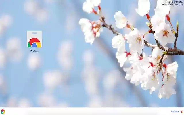 White Cherry Blossom Theme from Chrome web store to be run with OffiDocs Chromium online White Cherry Blossom Theme from Chrome web store to be run with OffiDocs Chromium online