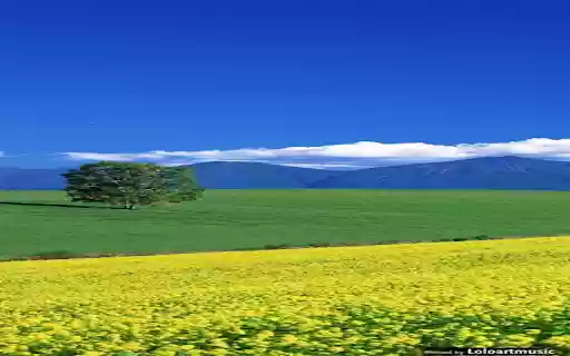 yellow flower field wallpaper from Chrome web store to be run with OffiDocs Chromium online yellow flower field wallpaper from Chrome web store to be run with OffiDocs Chromium online
